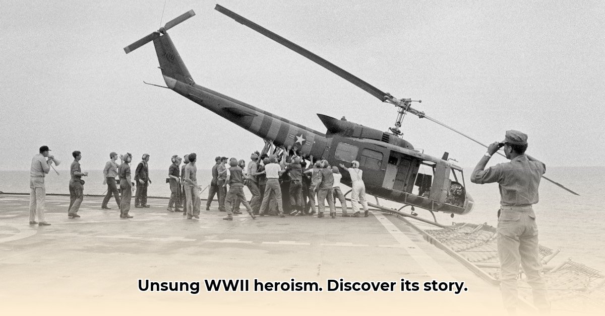 world-war-ii-healing-journey